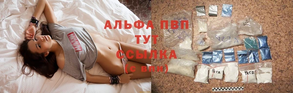 спайс Арсеньев